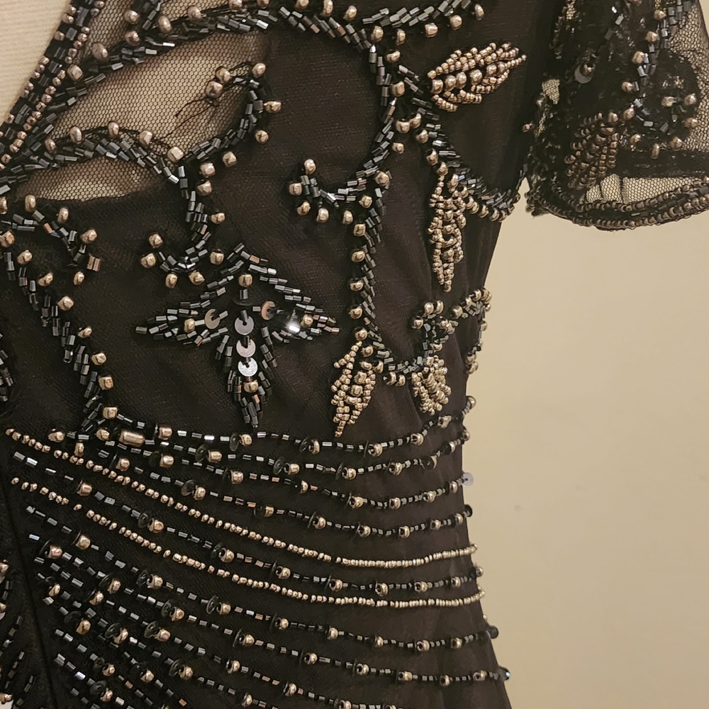Beaded Mesh column gown by Pisarro Nights size 4 - Picture 3 of 6